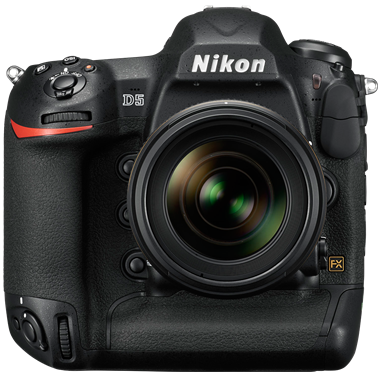 

Nikon D5 (XQD type) (Jap)