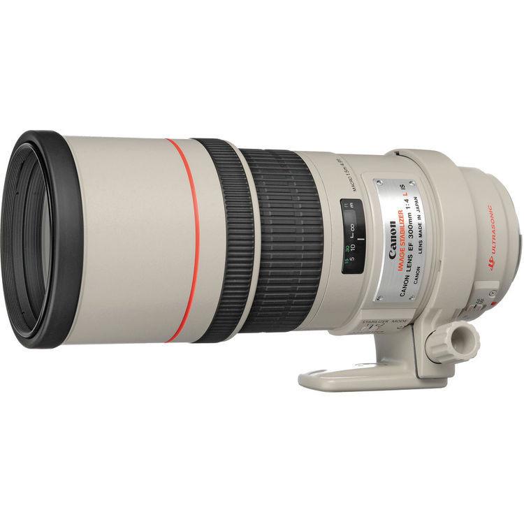 

Canon EF 300mm f4L IS USM